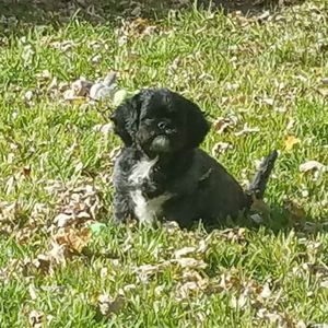 Meet your Posher, Veronica